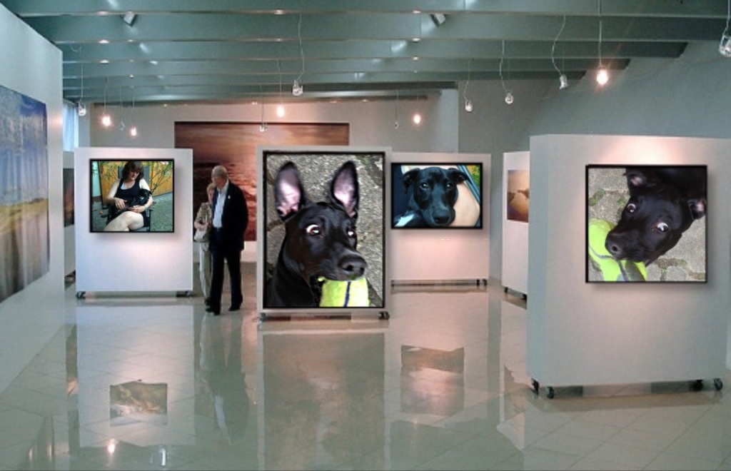 Luzy Gallery